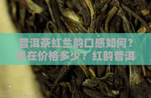 普洱茶红兰韵口感如何？现在价格多少？红韵普洱茶砖价格解析。