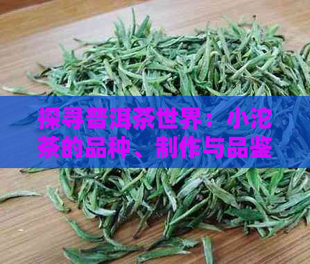 探寻普洱茶世界：小沱茶的品种、制作与品鉴百科全书