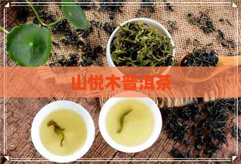 山悦木普洱茶