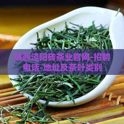 陕西泾阳砖茶业官网-招聘电话-地址及茶叶类别