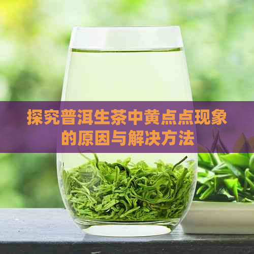 探究普洱生茶中黄点点现象的原因与解决方法