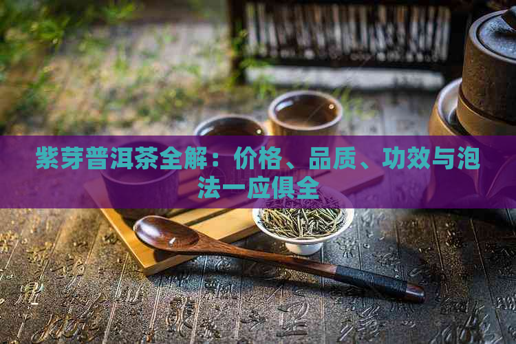 紫芽普洱茶全解：价格、品质、功效与泡法一应俱全