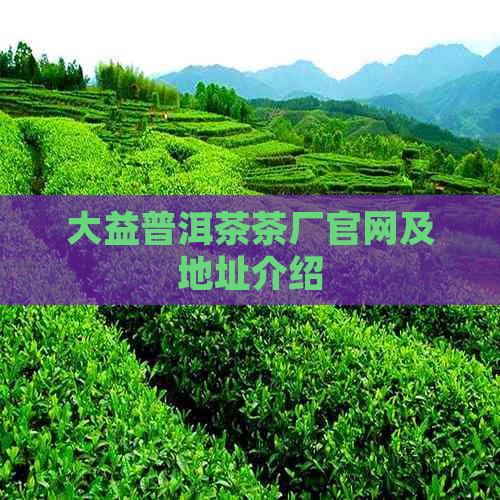 大益普洱茶茶厂官网及地址介绍