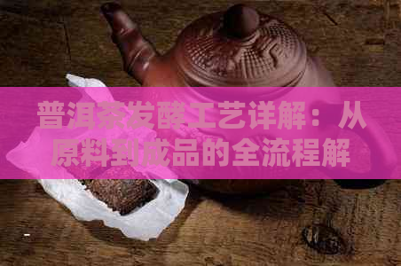 普洱茶发酵工艺详解：从原料到成品的全流程解析与掌握