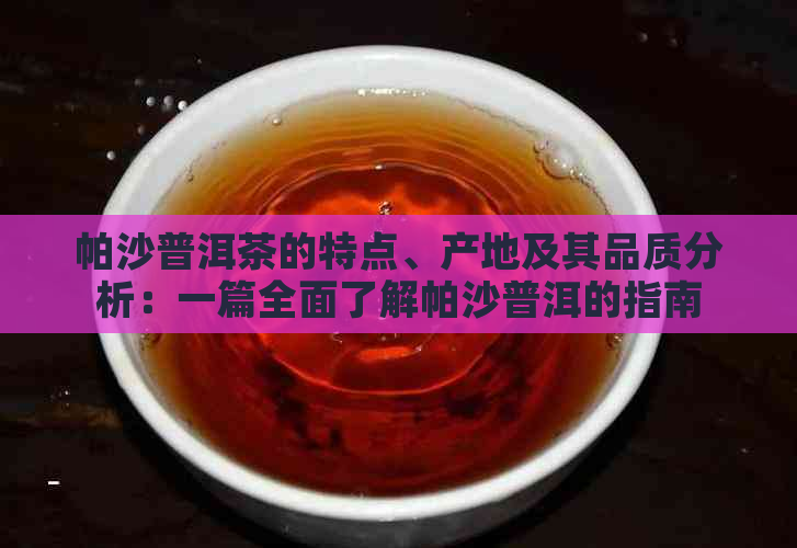 帕沙普洱茶的特点、产地及其品质分析：一篇全面了解帕沙普洱的指南