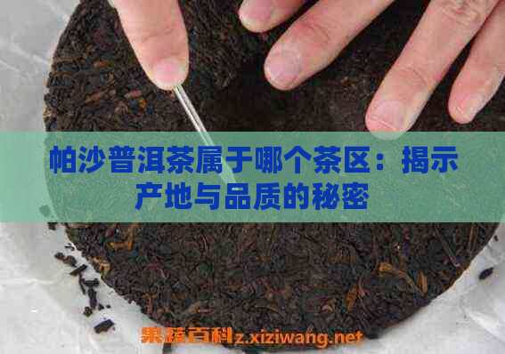 帕沙普洱茶属于哪个茶区：揭示产地与品质的秘密