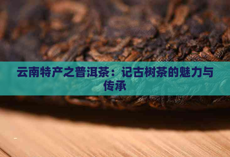 云南特产之普洱茶：记古树茶的魅力与传承