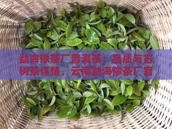 勐海豫茶厂普洱茶：品质与古树茶详情，云南勐海豫茶厂官网