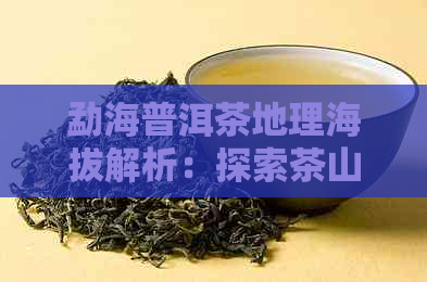 勐海普洱茶地理海拔解析：探索茶山与山头的生命之源