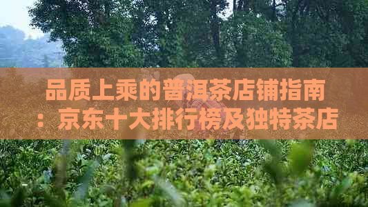 品质上乘的普洱茶店铺指南：京东十大排行榜及独特茶店推荐