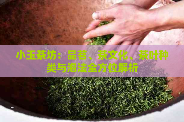 小玉茶坊：品茗、茶文化、茶叶种类与泡法全方位解析