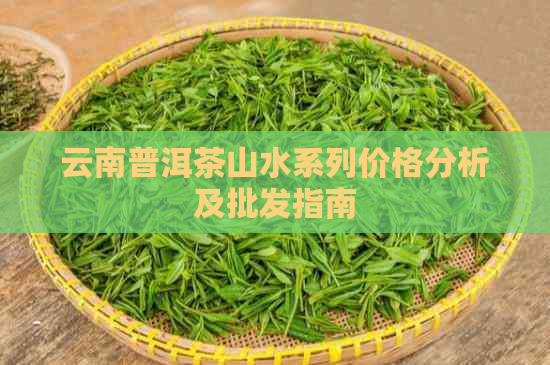 云南普洱茶山水系列价格分析及批发指南