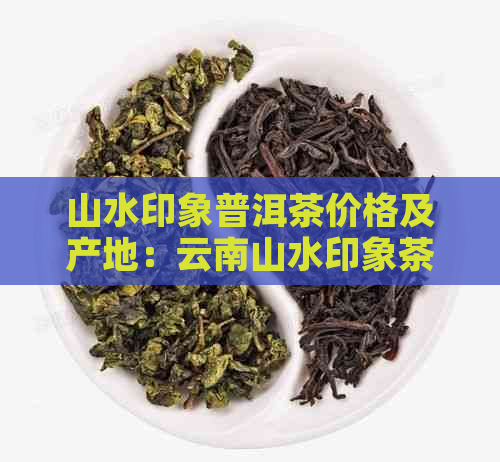 山水印象普洱茶价格及产地：云南山水印象茶叶绿茶售价