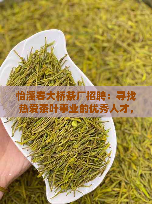 怡溪春大桥茶厂招聘：寻找热爱茶叶事业的优秀人才，共创美好未来！