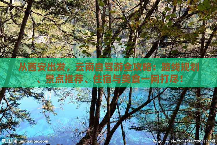 从西安出发，云南自驾游全攻略：路线规划、景点推荐、住宿与美食一网打尽！