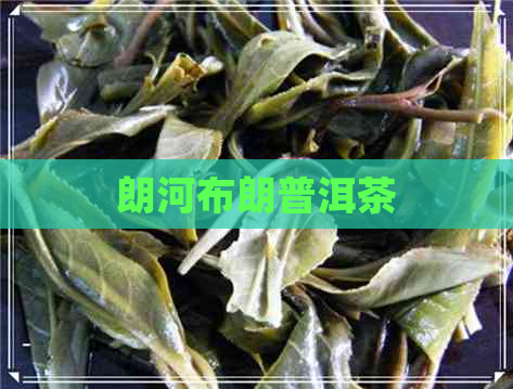 朗河布朗普洱茶