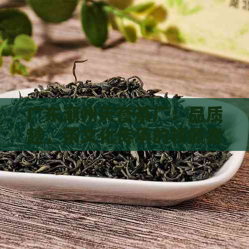 广东潮州天誉茶厂：品质越，茶文化传承的领航者