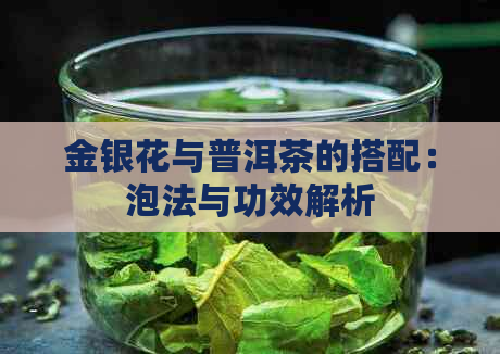 金银花与普洱茶的搭配：泡法与功效解析