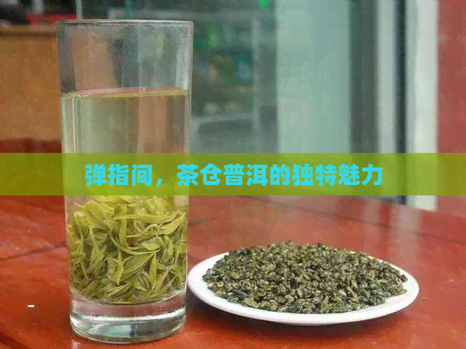 弹指间，茶仓普洱的独特魅力