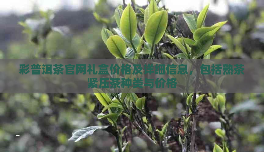 彩普洱茶官网礼盒价格及详细信息，包括熟茶紧压茶种类与价格