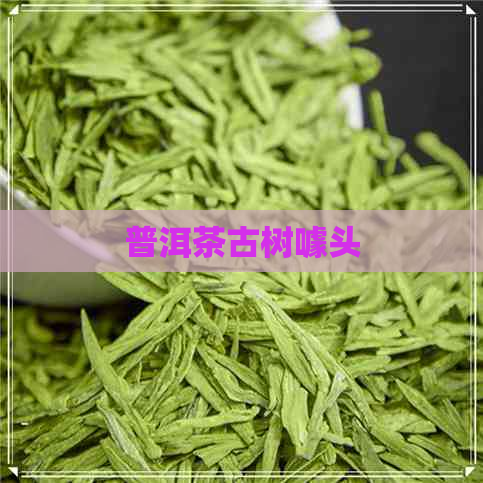 普洱茶古树噱头