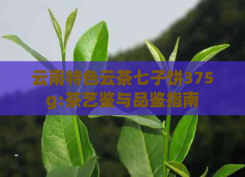 云南特色云茶七子饼375g:茶艺鉴与品鉴指南