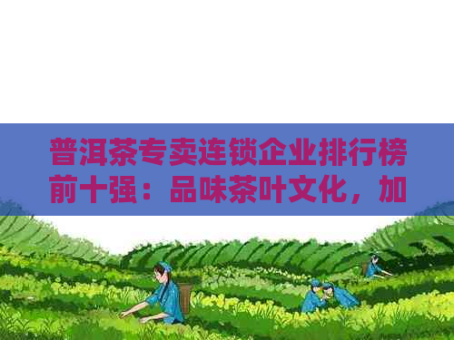 普洱茶专卖连锁企业排行榜前十强：品味茶叶文化，加盟创业新选择