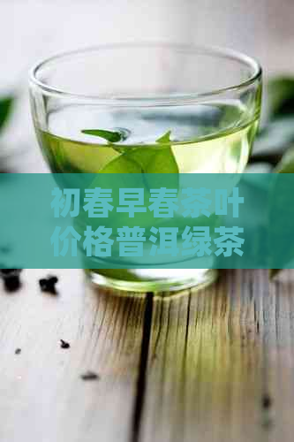 初春早春茶叶价格普洱绿茶红茶新茶多少钱？