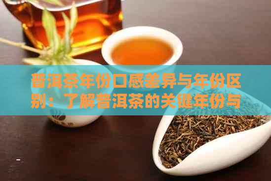 普洱茶年份口感差异与年份区别：了解普洱茶的关键年份与出厂日期