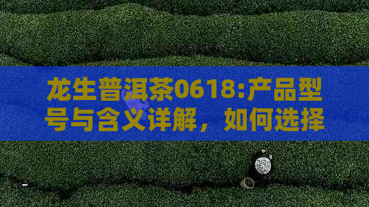 龙生普洱茶0618:产品型号与含义详解，如何选择和品鉴？