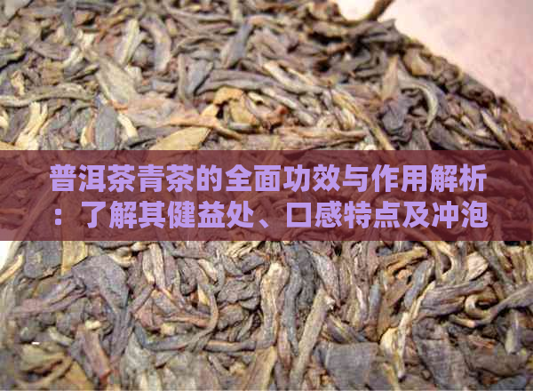 普洱茶青茶的全面功效与作用解析：了解其健益处、口感特点及冲泡方法