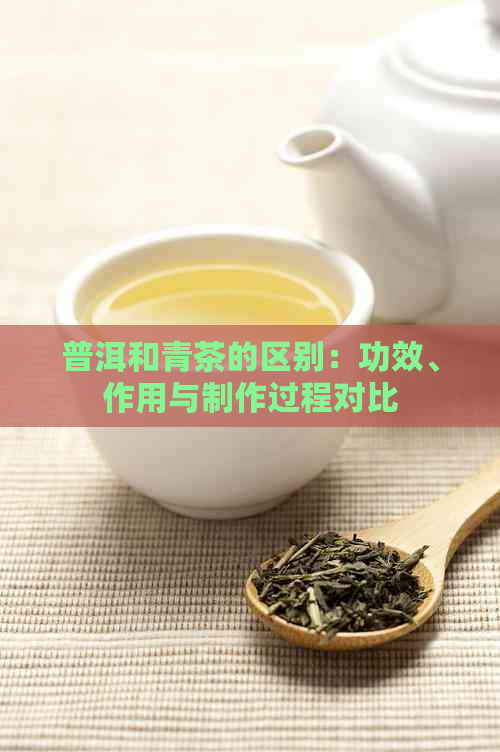 普洱和青茶的区别：功效、作用与制作过程对比