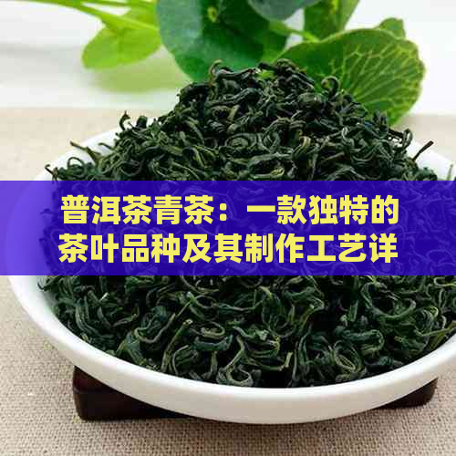 普洱茶青茶：一款独特的茶叶品种及其制作工艺详解