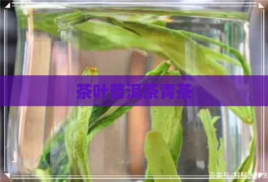 茶叶普洱茶青茶