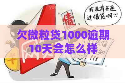 欠微粒贷1000逾期10天会怎么样