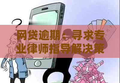 网贷逾期：寻求专业律师指导解决策略及法律援助