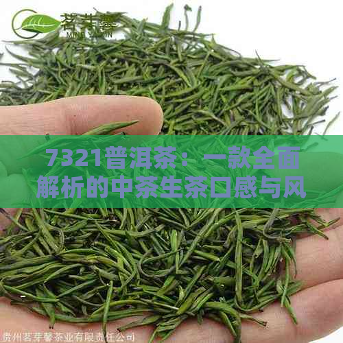 7321普洱茶：一款全面解析的中茶生茶口感与风味指南