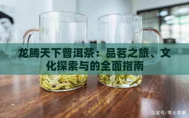 龙腾天下普洱茶：品茗之旅、文化探索与的全面指南