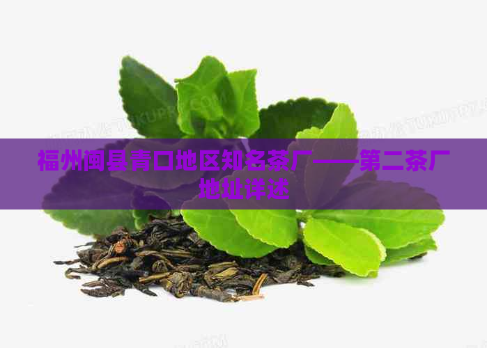 福州闽县青口地区知名茶厂——第二茶厂地址详述