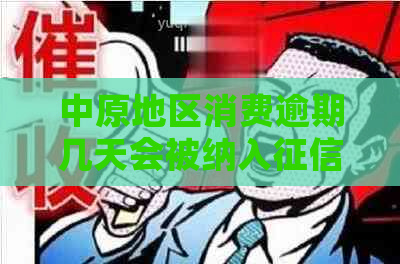 中原地区消费逾期几天会被纳入体系？了解逾期还款的影响和解决方法