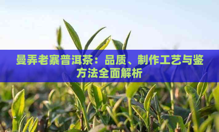 曼弄老寨普洱茶：品质、制作工艺与鉴方法全面解析