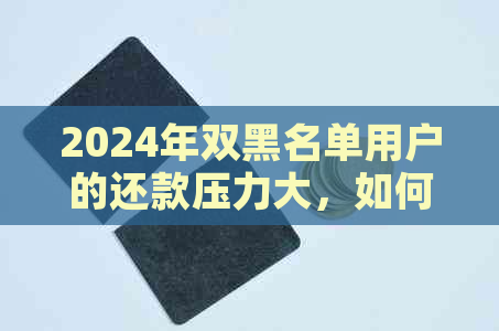 2024年双黑名单用户的还款压力大，如何快速筹集资金应对？