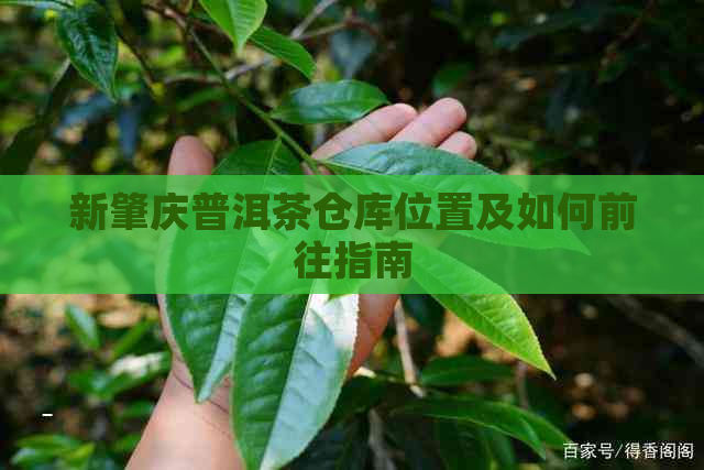 新肇庆普洱茶仓库位置及如何前往指南