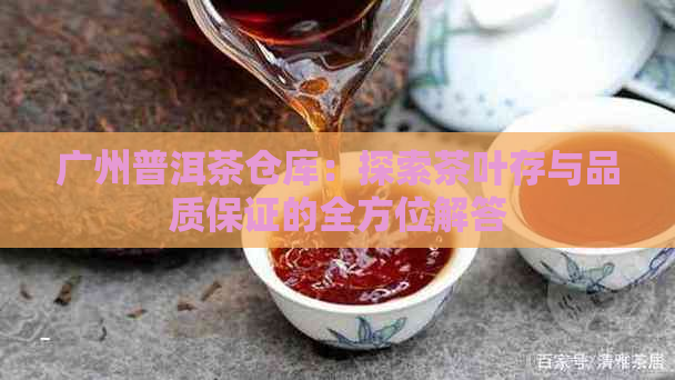 广州普洱茶仓库：探索茶叶存与品质保证的全方位解答