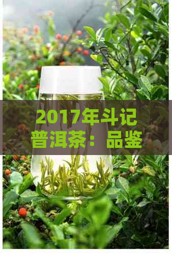 2017年斗记普洱茶：品鉴与价格对比分析