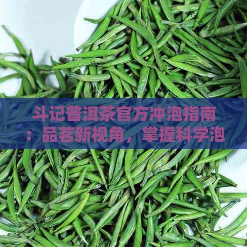 斗记普洱茶官方冲泡指南：品茗新视角，掌握科学泡法