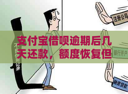 支付宝借呗逾期后几天还款，额度恢复但无法使用，怎么解决？