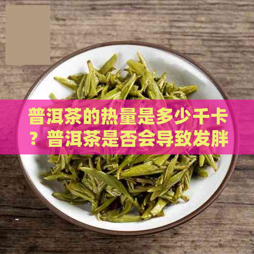 普洱茶的热量是多少千卡？普洱茶是否会导致发胖？