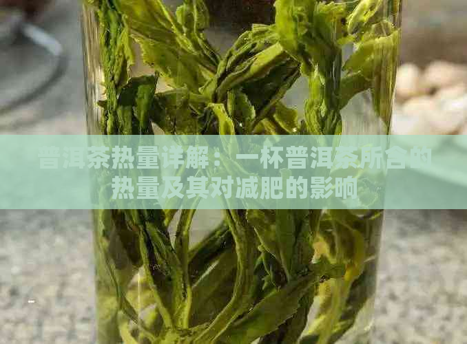 普洱茶热量详解：一杯普洱茶所含的热量及其对减肥的影响