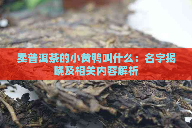 卖普洱茶的小黄鸭叫什么：名字揭晓及相关内容解析